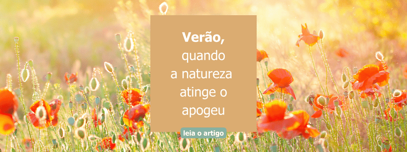 Verão - Quando a natureza atinge o apogeu