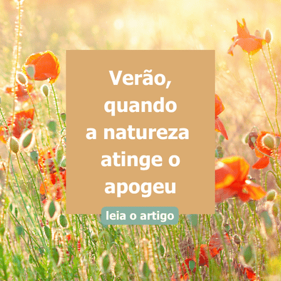Verão - Quando a natureza atinge o apogeu
